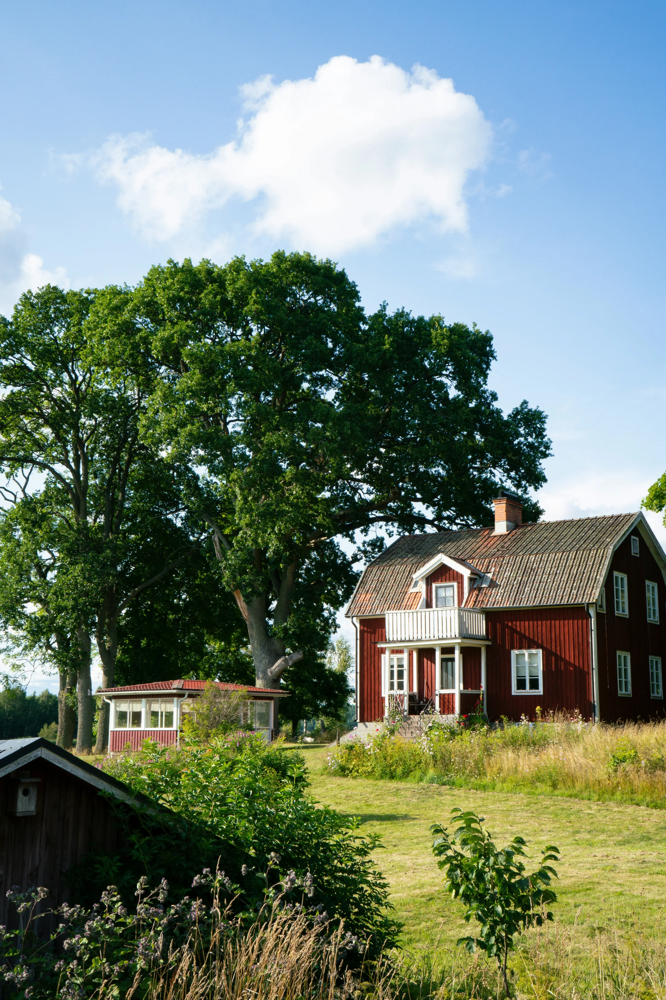 Pihan siistiminen